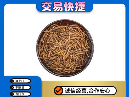 东营市河口礼品回收虫草.jpg